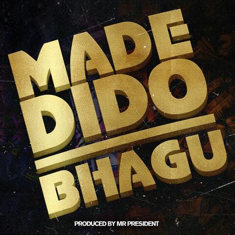 Bhagu album art