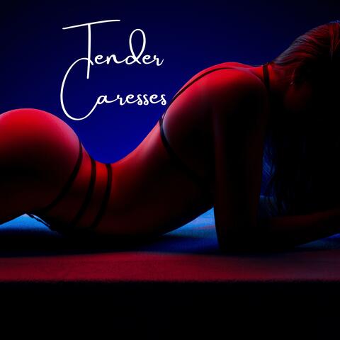Tender Caresses: Erotic Grooves for Valentine's 2024 album art