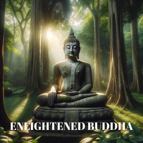 Enlightened Buddha: Ambient Buddhist Meditation Vibes album art