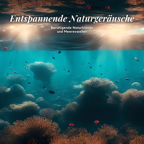 Entspannende Naturgeräusche: Beruhigende Naturklänge und Meereswellen album art