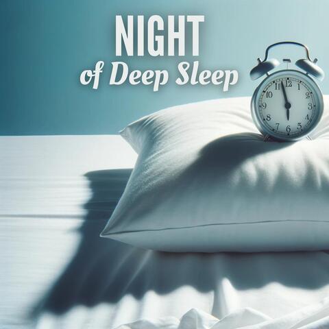 Night of Deep Sleep: Night Relaxation Rituals, Peaceful Mind, Blissful Sleep album art