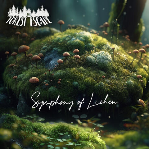 Symphony of Lichen album art