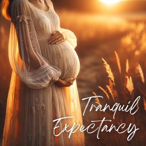 Tranquil Expectancy: Mindful Practices for Pregnancy Wellbeing album art