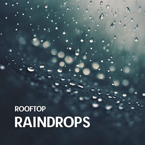 Rooftop Raindrops: Serene Rain Ambience for Meditation, Concentration, and Mindfulness album art
