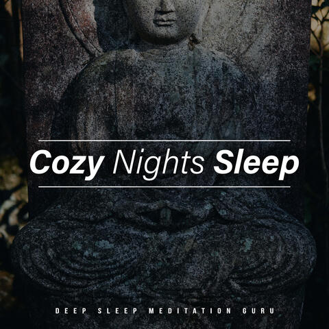 Cozy Nights Sleep album art