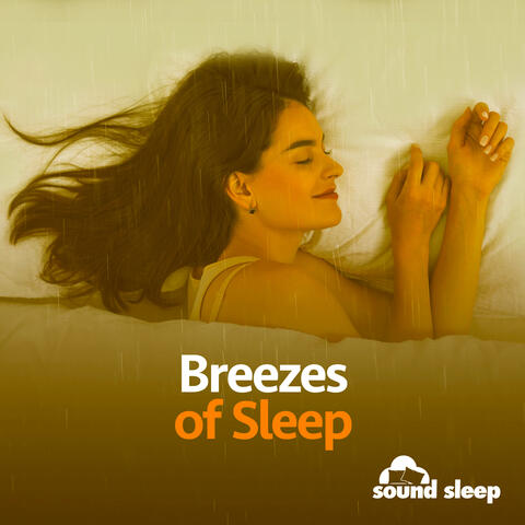 Breezes of Sleep album art