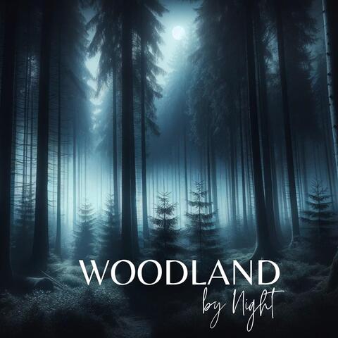 Woodland by Night: Secret Melodies of Dark Forest (Sleep, Relaxation, Hypnosis) album art