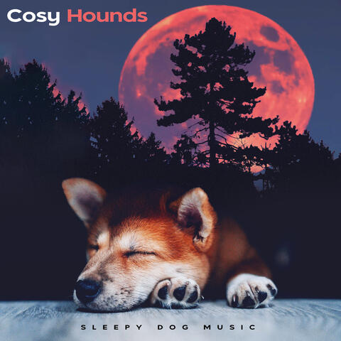 Cosy Hounds album art