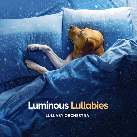 Luminous Lullabies album art
