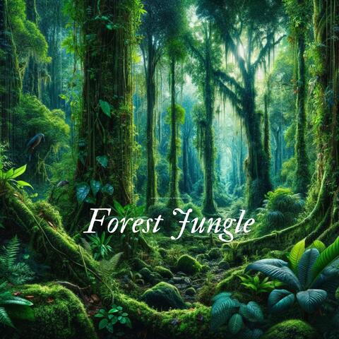 Forest Jungle: Therapeutic Sounds album art