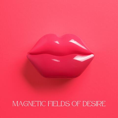 Magnetic Fields of Desire album art
