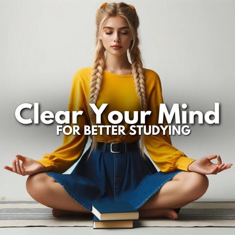 Clear Your Mind for Better Studying (Calm Piano Meditations) album art