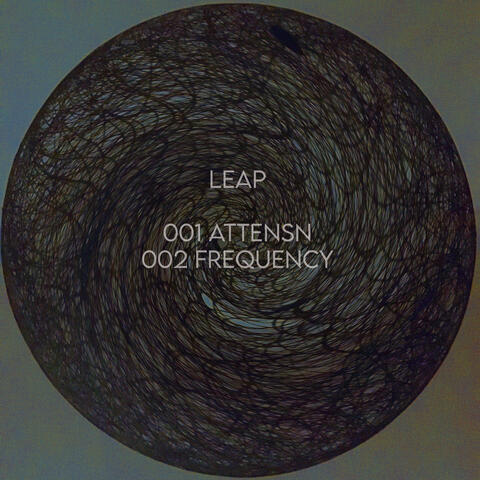 Attensn / Frequency album art