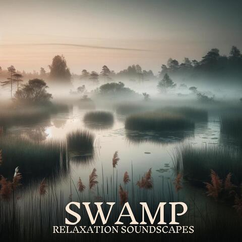 Swamp Relaxation Soundscapes: Wonderful Ecosystem of Wetlands and Nature Sounds album art