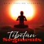 Tibetan Segments album artwork