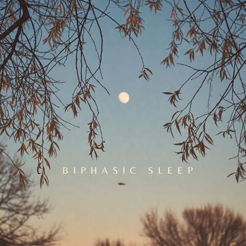 Biphasic Sleep: Boost Cognitive Function, Reduce Stress, and Insomnia album art