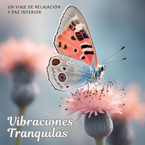 Vibraciones Tranquilas: Un Viaje de Relajación y Paz Interior album art