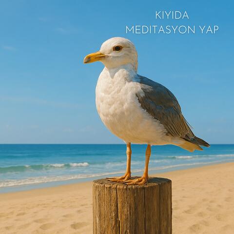 Kıyıda Meditasyon Yap: Ruhunla Yeniden Bağ Kur album art
