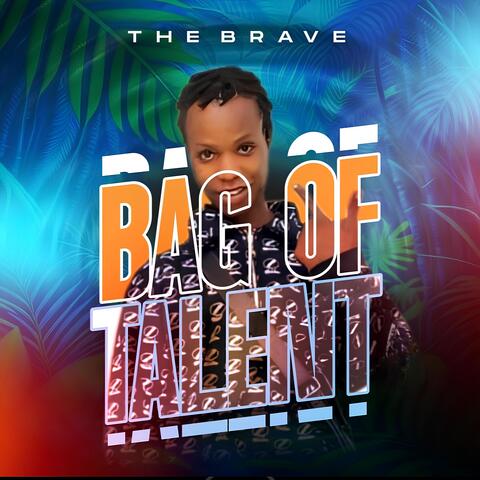 Bag Of Talent album art