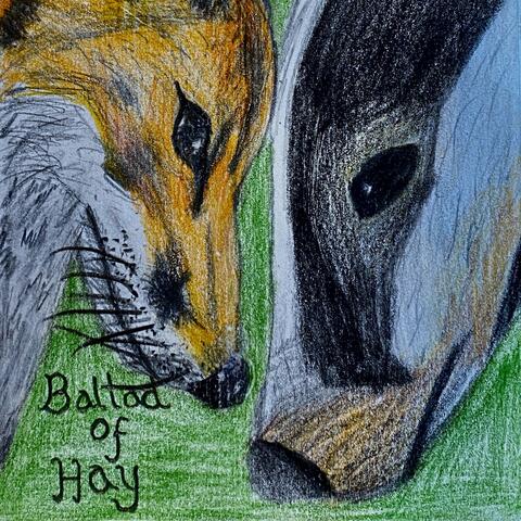 Ballad of Hay album art