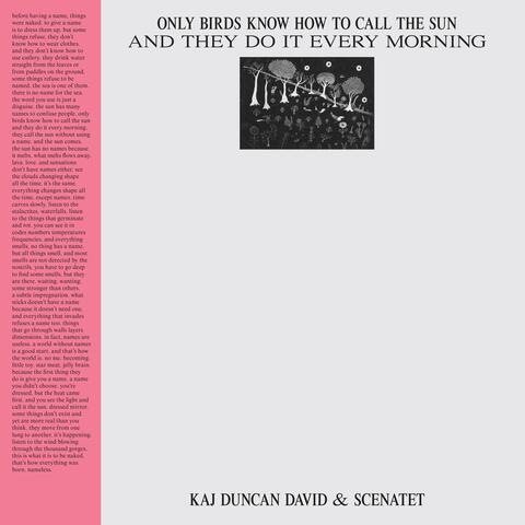 Only Birds Know How to Call the Sun and They Do It Every Morning album art
