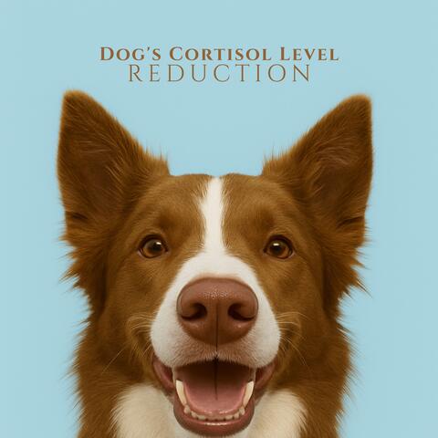 Dog's Cortisol Level Reduction album art