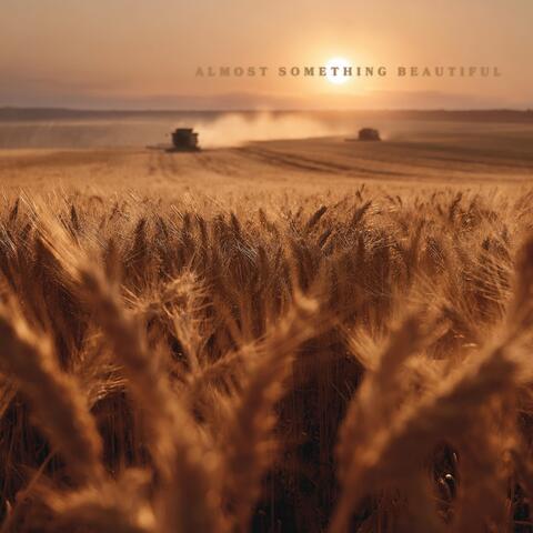 Almost Something Beautiful album art