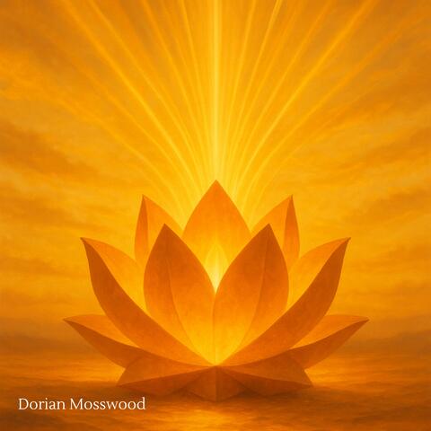 Rays of the Soul album art