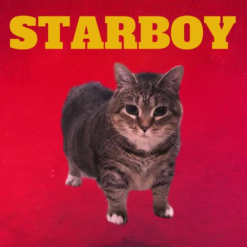 Starboy Oiia album art