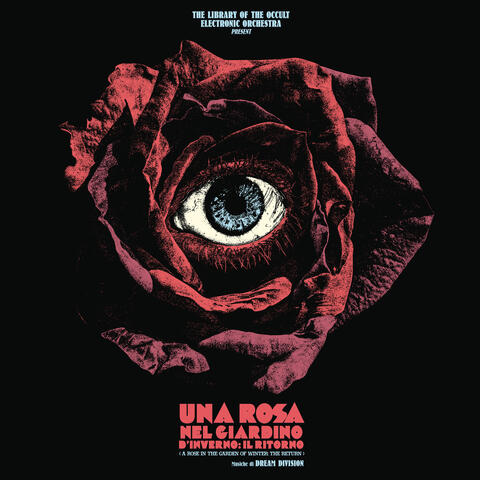Una Rosa nel Giardino d’Inverno: Il Ritorno album art
