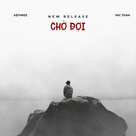 Chờ Đợi album art