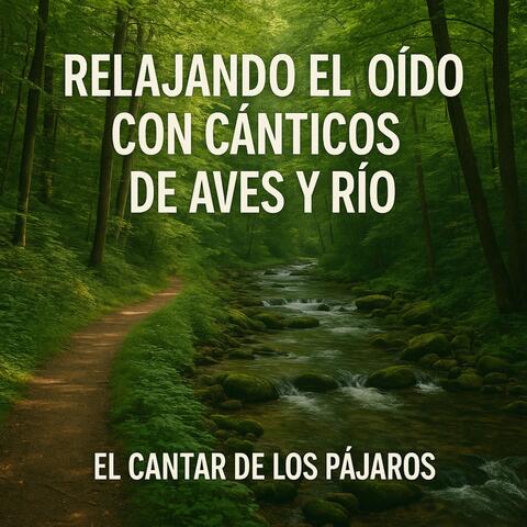 Relajando el Oído Con Cánticos de Aves y Río album art