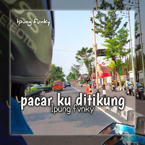 PACAR KU DI TIKUNG album art