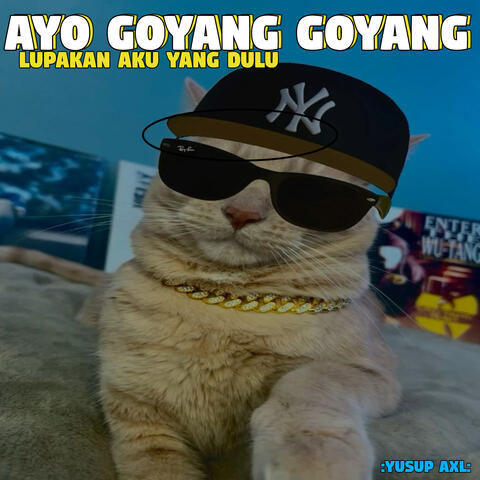 AYO GOYANG GOYANG album art