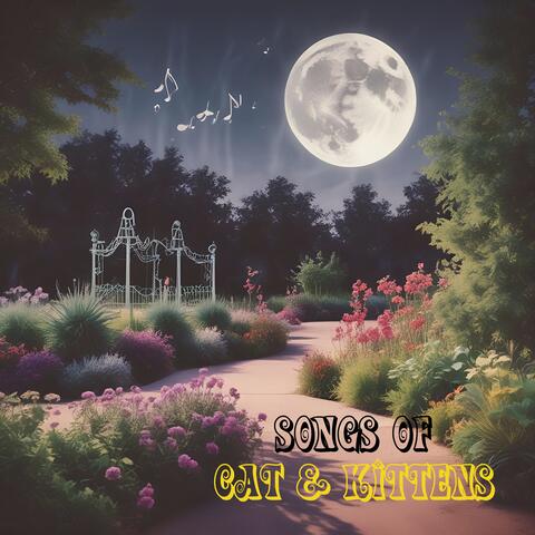 Songs of Cat & Kittens album art