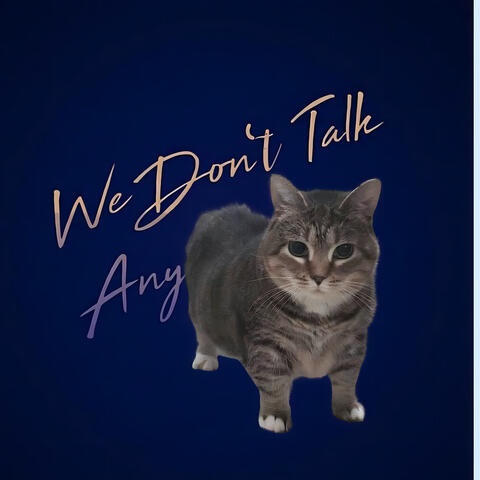 We Don't Talk Anymore Oiia album art