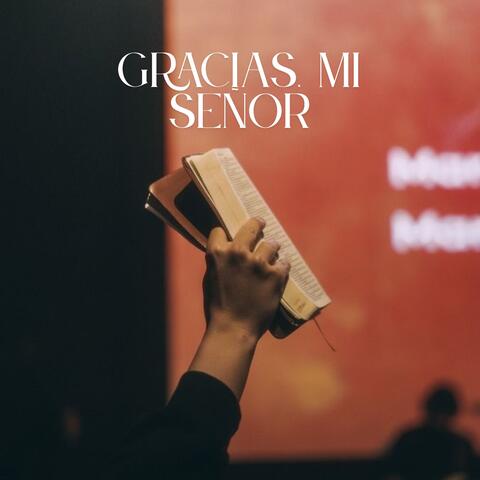 Gracias, Mi Señor album art