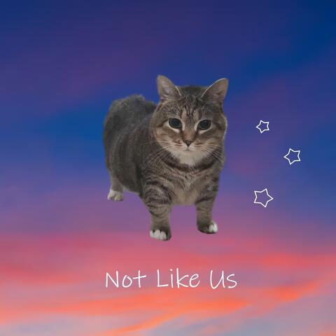 Not Like Us Oiia album art