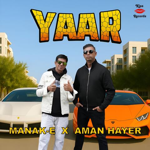Yaar album art