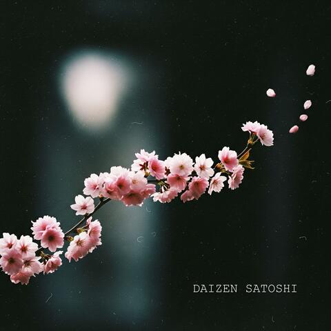 桜の集中 album art