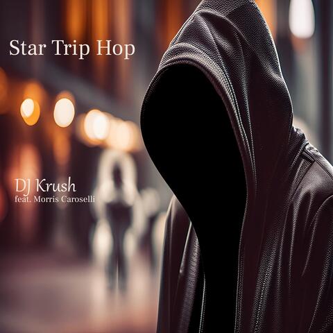 Start Trip Hop album art