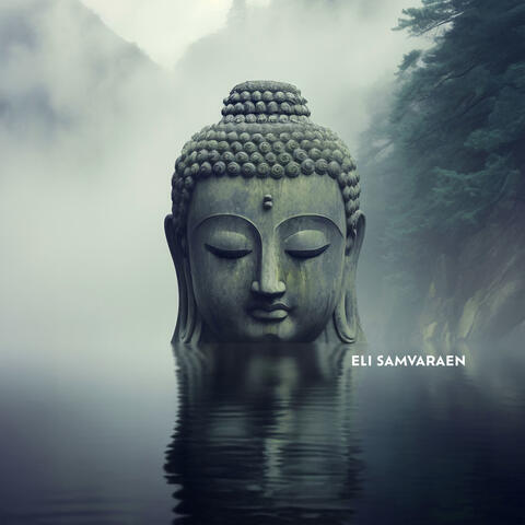 Transcending Delusion album art