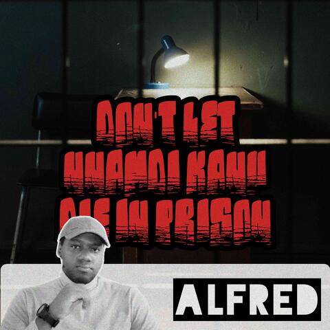 Don't Let Nnamdi Kanu Die In Prison album art