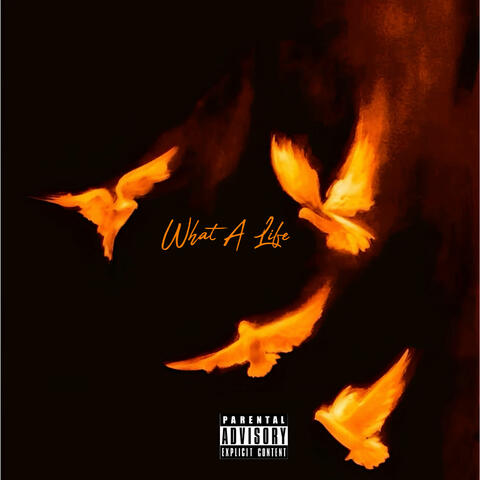 What A Life album art