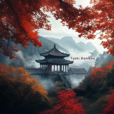 Mujō Understanding album art