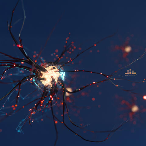 Neurofield Continuum album art