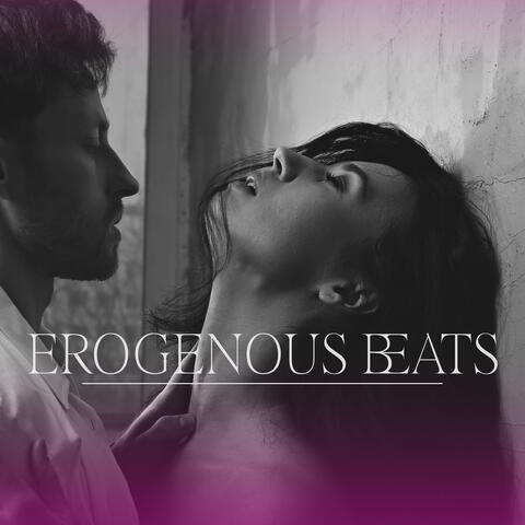 Erogenous Beats: Sexual Lofi Music to Create Erotic Mood album art