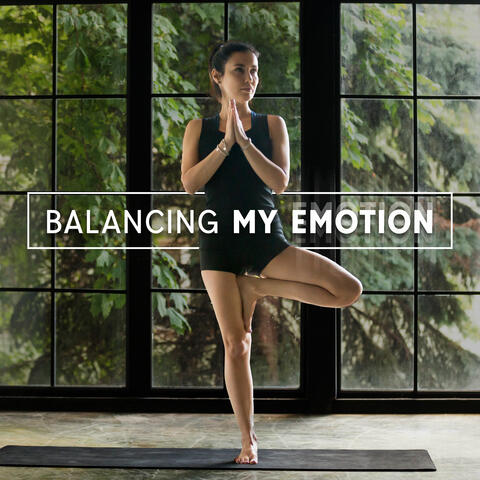 Balancing My Emotion album art