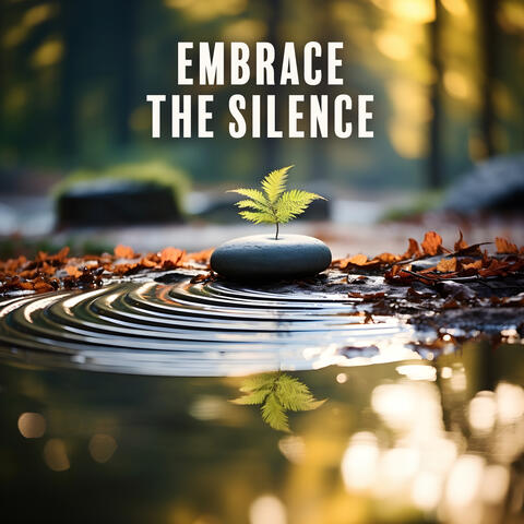 Embrace the Silence: Explore Serene Grounds, Seek Peace Amidst Chaos album art