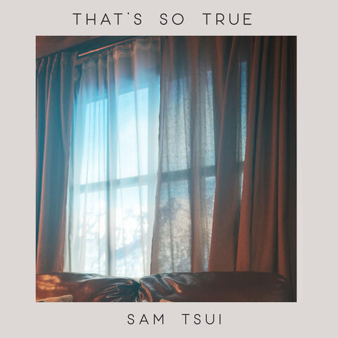 That’s So True album art